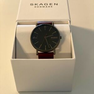 Skagen Signatur Three-Hand Cherry Wood Leather Watch - Men’s